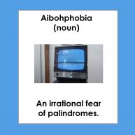 Fear of Palindromes